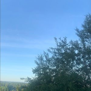 Meet your Posher, Marisa